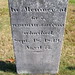 Carey Johnson Photo 29