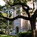 Hollis Allen Photo 14