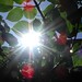 Susan Jeffers Photo 8