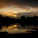 Edgar Storm Photo 7