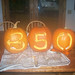 Tracey Hopkins Photo 28