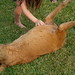 Melissa Sikes Photo 18