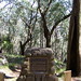 Thomas Pring Photo 7
