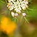 Ralph Link Photo 14