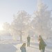 Lars Pedersen Photo 31