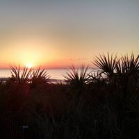 Cynthia Hutto Photo 22