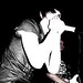 Shaun Carpenter Photo 11