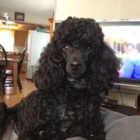 Denise Gruver Photo 5