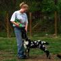 Mary Kroll Photo 21
