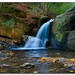 Cliff Dodd Photo 9