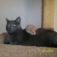 Bruce Brooks Photo 15