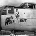 Mitchell Wolf Photo 14