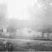 Clyde Ferrell Photo 5