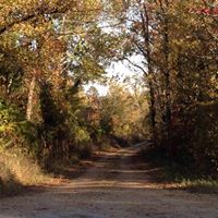 Deborah Meeks Photo 19