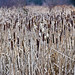 Lora Winters Photo 7