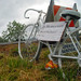 Sheryl Mcdaniel Photo 10