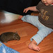 Rose Conner Photo 7