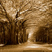 Gregory Shaw Photo 37