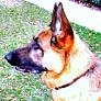 Lynne Stephens Photo 32