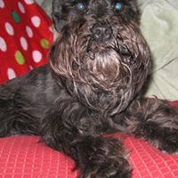 Molly Conley Photo 4 Molly Conley Photo 4