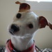 Mae Russell Photo 12