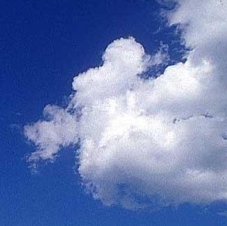 Mike Cloud Photo 31