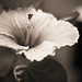 Marcus Gruber Photo 9