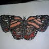 Tammy Sanders Photo 28