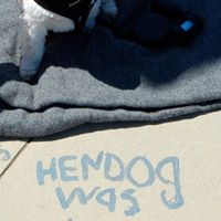 Henry Conner Photo 12