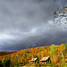 Mike Cadieux Photo 16