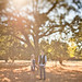 Christina Greer Photo 50