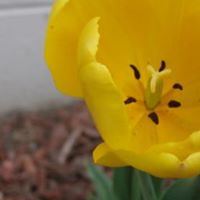 April Doeppers Photo 2