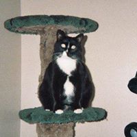 Roberta Moffitt Photo 4