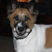 Lizzie Tanner Photo 9