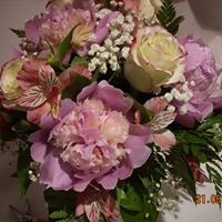 Ann Sampson Photo 30