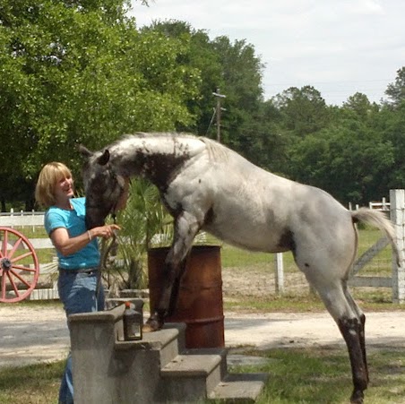 Lori Neal Photo 13