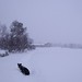 Jean Moen Photo 8