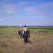 Sherry Jarvis Photo 23