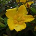 John Flowers Photo 36