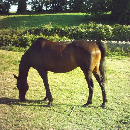 Vera James Photo 22