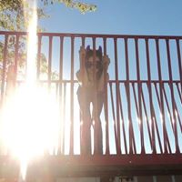 Sarah Byers Photo 8
