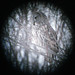 Jeffery Gray Photo 24