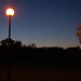 William Carey Photo 31