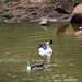 Bill Combs Photo 8