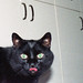 Dwayne Sharp Photo 12