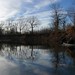Dianne Short Photo 15