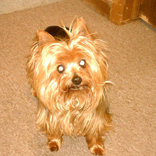 Cheryl Denny Photo 33