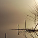 Misty Reed Photo 7