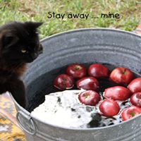 Linda Townsend Photo 29