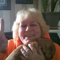 Lisa Hallmark Photo 3